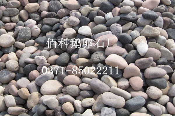 拋光白色鵝卵石、黑色鵝卵石生產(chǎn)廠家